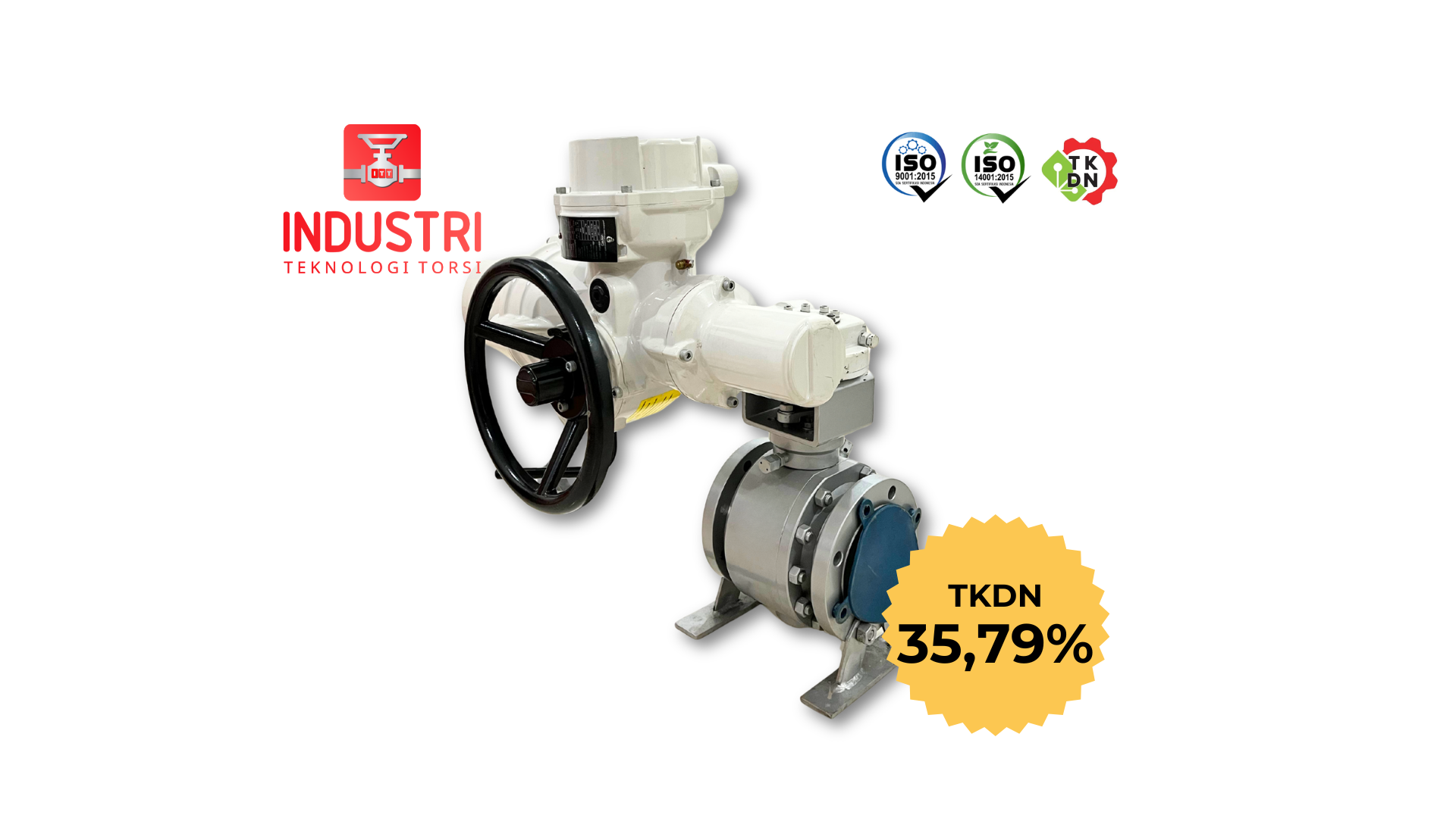 Motor Operated Valve (MOV)